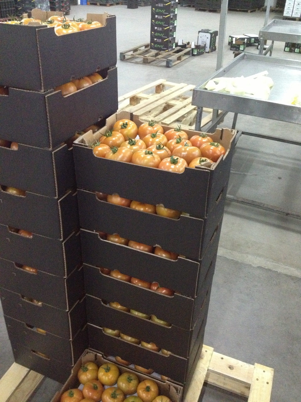 Premium Fresh Vegetables